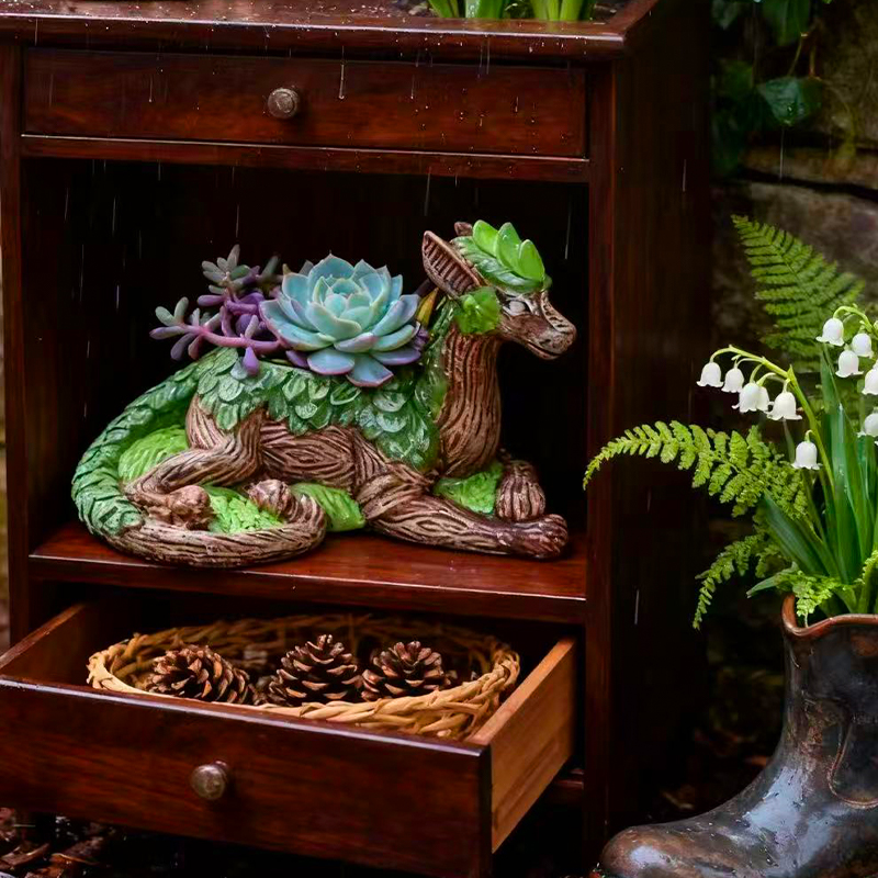 Creative Dragon Tree Flower Po - Echeveria Succulent ulasan dan harga