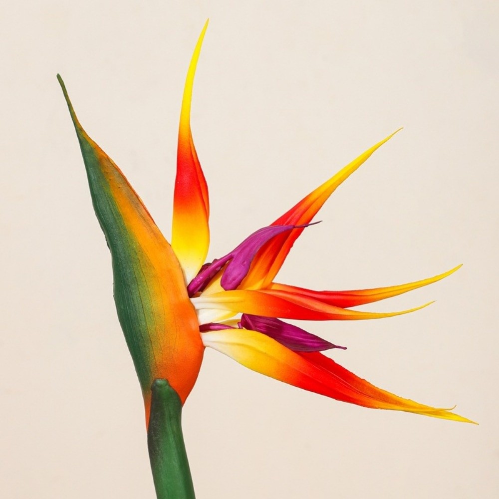 Long Stem Artificial Bird of P - Bird Paradise Strelitzia ulasan dan harga