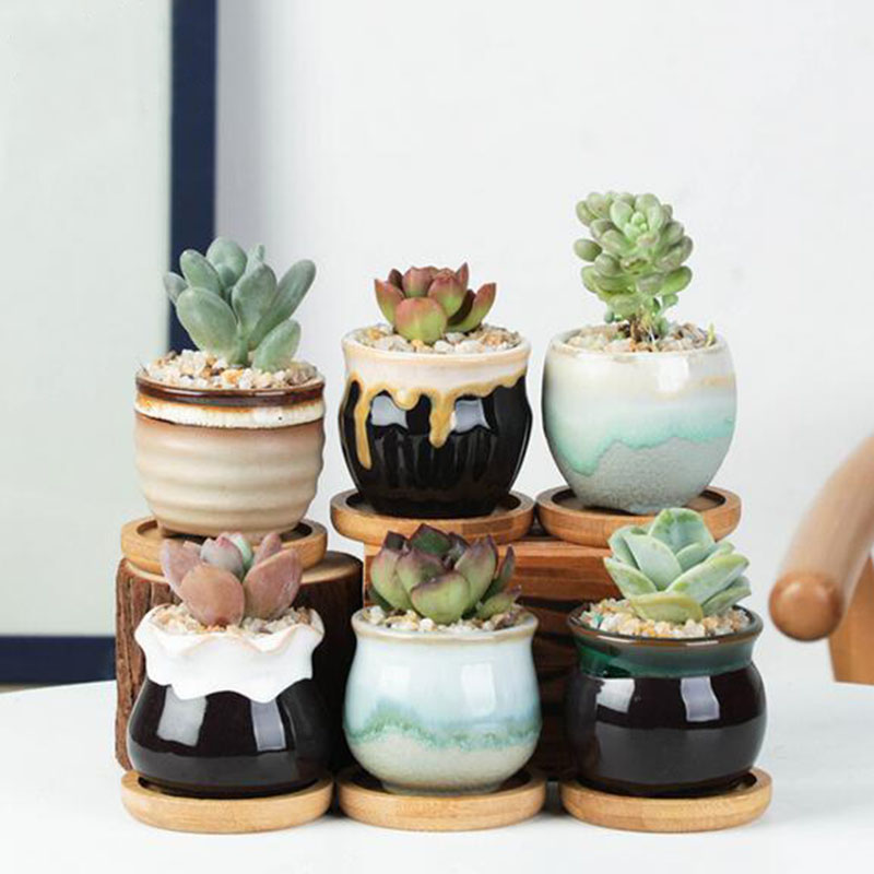 6pcs/set Ceramic Flowerpot Set - Echeveria Succulent ulasan dan harga