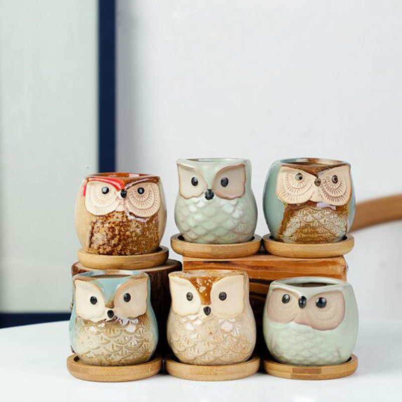 6pcs/set Ceramic Flowerpot Set - Echeveria Succulent ulasan dan harga