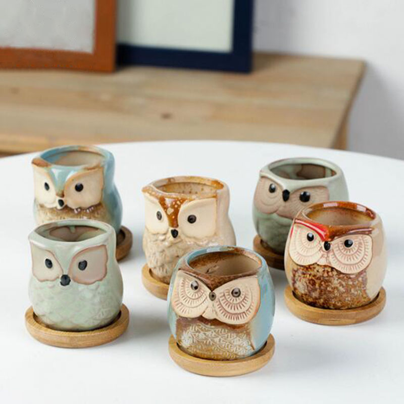 6pcs/set Ceramic Flowerpot Set - Echeveria Succulent ulasan dan harga