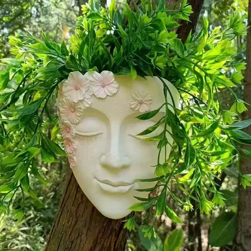 Creative Wall Mounted Facial F - Echeveria Succulent ulasan dan harga